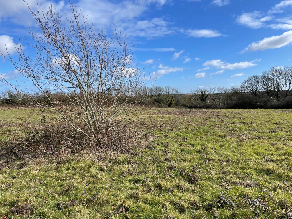 Lot: 120 - APPROXIMATELY 2.4 ACRE PADDOCK - General view of the land